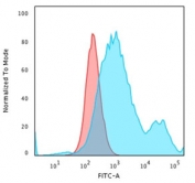 Flow cytometry testing of PFA-fixed human HeLa cells with Cytokeratin 18 antibody (clone KRT18/834); Red=isotype control, Blue= Cytokeratin 18 antibody.