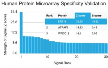 Analysis of HuProt(TM) microarray containing more than 19,000 full-length human proteins using Cytokeratin 18 antibody (clone KRT18/835). These results demonstrate the foremost specificity of the KRT18/835 mAb.<br>Z- and S- score: The Z-score represents the strength of a signal that an antibody (in combination with a fluorescently-tagged anti-IgG secondary Ab) produces when binding to a particular protein on the HuProt(TM) array. Z-scores are described in units of standard deviations (SD's) above the mean value of all signals generated on that array. If the targets on the HuProt(TM) are arranged in descending order of the Z-score, the S-score is the difference (also in units of SD's) between the Z-scores. The S-score therefore represents the relative target specificity of an Ab to its intended target.