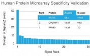 Analysis of HuProt(TM) microarray containing more than 19,000 full-length human proteins using CK18 antibody (clone KRT18/836). These results demonstrate the foremost specificity of the KRT18/836 mAb. Z- and S- score: The Z-score represents the strength of a signal that an antibody (in combination with a fluorescently-tagged anti-IgG secondary Ab) produces when binding to a particular protein on the HuProt(TM) array. Z-scores are described in units of standard deviations (SD's) above the mean value of all signals generated on that array. If the targets on the HuProt(TM) are arranged in descending order of the Z-score, the S-score is the difference (also in units of SD's) between the Z-scores. The S-score therefore represents the relative target specificity of an Ab to its intended target.