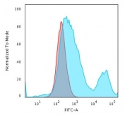 Flow cytometry testing of PFA fixed human HeLa cells with Keratin 18 antibody (clone C-04); Red=isotype control, Blue= Keratin 18 antibody.
