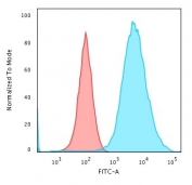 Flow cytometry testing of methanol-fixed human MCF7 cells with Cytokeratin 19 antibody (clone KRT19/799); Red=isotype control, Blue= Cytokeratin 19 antibody.