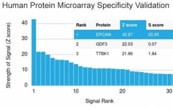 Analysis of HuProt(TM) microarray containing more than 19,000 full-length human proteins using EpCAM antibody (clone EGP40/1110). These results demonstrate the foremost specificity of the EGP40/1110 mAb.<br>Z- and S- score: The Z-score represents the strength of a signal that an antibody (in combination with a fluorescently-tagged anti-IgG secondary Ab) produces when binding to a particular protein on the HuProt(TM) array. Z-scores are described in units of standard deviations (SD's) above the mean value of all signals generated on that array. If the targets on the HuProt(TM) are arranged in descending order of the Z-score, the S-score is the difference (also in units of SD's) between the Z-scores. The S-score therefore represents the relative target specificity of an Ab to its intended target.