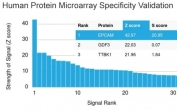 Analysis of HuProt(TM) microarray containing more than 19,000 full-length human proteins using EpCAM antibody (clone EGP40/1110). These results demonstrate the foremost specificity of the EGP40/1110 mAb. Z- and S- score: The Z-score represents the strength of a signal that an antibody (in combination with a fluorescently-tagged anti-IgG secondary Ab) produces when binding to a particular protein on the HuProt(TM) array. Z-scores are described in units of standard deviations (SD's) above the mean value of all signals generated on that array. If the targets on the HuProt(TM) are arranged in descending order of the Z-score, the S-score is the difference (also in units of SD's) between the Z-scores. The S-score therefore represents the relative target specificity of an Ab to its intended target.