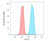 Flow cytometry testing of PFA-fixed human MCF7 cells with anti-EpCAM antibody (clone SPM134); Red=isotype control, Blue= anti-EpCAM antibody.