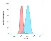 Flow cytometry testing of PFA-fixed human MCF7 cells with EpCAM antibody (clone EGP40/826); Red=isotype control, Blue= EpCAM antibody.