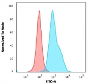 Flow cytometry staining of human Ramos cells with CB-CALLA antibody; Red=isotype control, Blue= CB-CALLA antibody.