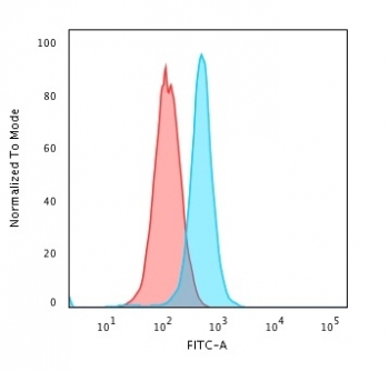 Flow cytometry testing of human K562 cells with Moesin antibody (clone MSN/492); Red=isotype control, Blue= Moesin antibody.