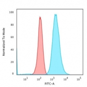 Flow cytometry testing of PFA-fixed human K562 cells with Moesin antibody (clone MSN/493); Red=isotype control, Blue= Moesin antibody.