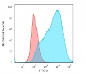 Flow cytometry testing of PFA-fixed human MCF7 cells with MUC-1 antibody (clone HMPV; Red=isotype control, Blue= MUC-1 antibody.