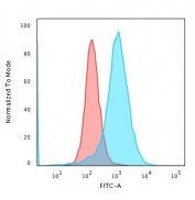 Flow cytometry testing of PFA fixed human K562 cells with anti-Nucleolin antibody (clone SPM614); Red=isotype control, Blue= anti-Nucleolin antibody.