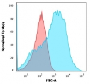 Flow cytometry testing of permeabilized human HEK293 cells with NF-H antibody (clone NE14); Red=isotype control, Blue= NF-H antibody.