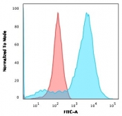 Flow cytometry testing of permeabilized human HEK293 cells with Neurofilament antibody (clone NR-4); Red=isotype control, Blue= Neurofilament antibody.
