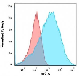 Flow cytometry testing of permeabilized human HEK293 cells with Neurofilament antibody (clone NFL/736); Red=isotype control, Blue