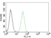 Flow cytometry test of human Jurkat cells. Black: cells alone; Grey: isotype control; Green: CD31 antibody (clone C31.10).