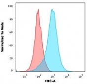 Flow cytometry testing of PFA-fixed human Jurkat cells with PECAM-1 antibody (clone 158-2B3); Red=isotype control, Blue= PECAM-1 antibody.