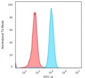 Flow cytometry testing of PFA fixed human HeLa cells with Cytochrome C antibody (clone 6H2.B4); Red=isotype control, Blue= Cytochrome C antibody.