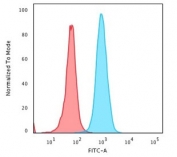 Flow cytometry testing of permeabilized human HeLa cells with Beta-2 Microglobulin antibody (clone B2M/1118); Red=isotype control, Blue= Beta-2 Microglobulin antibody.