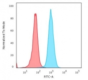 Flow cytometry testing of PFA-fixed human HeLa cells with B2M antibody (clone SPM617); Red=isotype control, Blue= B2M antibody.