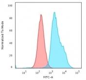 Flow cytometry testing of PFA-fixed human HeLa cells with Beta-2 Microglobulin antibody (clone C21.48A1); Red=isotype control, Blue= Beta-2 Microglobulin antibody.