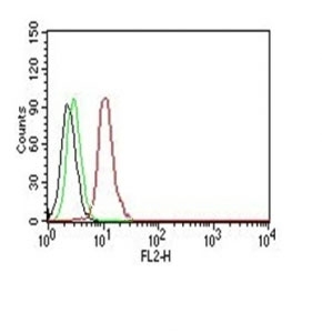 Flow Cytometry testing of Jurkat cells. Black: cells alone; Green: isotype control; Red: PE-labeled Cyclin D1 antibody (SPM587).~