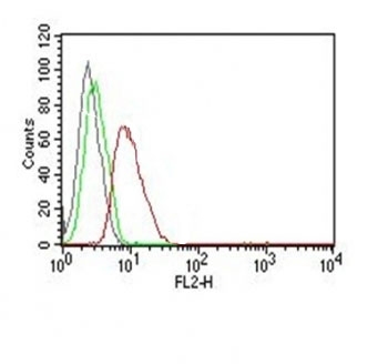 Flow Cytometry testing of MCF-7 cells. Black: cells alone; Green: isotype control; Red: PE-labeled Cyclin
