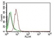 Flow cytometry of human HeLa cells. Black: cells alone; Green: isotype control; Red: PE-labeled Cyclin D1 antibody (CCND1/809).