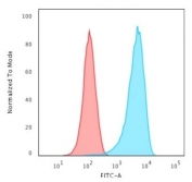 Flow cytometry testing of human K562 cells with CD43 antibody (clone 84-3C1); Red=isotype control, Blue= CD43 antibody.