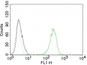 Flow cytometry testing of Jurkat cells. Black: cells alone; Grey: isotype control; Green: AF488-labeled Transferrin Receptor antibody (TFRC/1059).