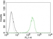 Flow cytometry testing of Jurkat cells. Black: cells alone; Grey: isotype control; Green: AF488-labeled Transferrin Receptor antibody (TFRC/1059).