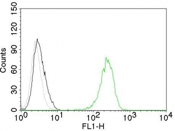 Flow cytometry testing of Jurkat cells. Black: cells alone; Grey: isotype contr