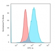 Flow cytometry testing of human Jurkat cells with Transferrin Receptor antibody (clone TFRC/1059); Red=isotype control, Blue= Transferrin Receptor antibody.