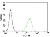 Flow cytometry testing of Jurkat cells. Black: cells alone; Grey: isotype control; Green: CF488-labeled Transferrin Receptor / CD71 antibody (clone TFRC/1059).