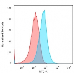 Flow cytometry testing of PFA-fixed human HepG2 cells with TNF-alpha antibody (clone TNFA/1172); Red=isotype control, Blue= TNF-alpha antibody.