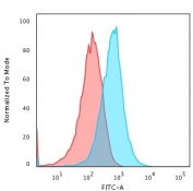 Flow cytometry testing of PFA-fixed human HepG2 cells with TNF-alpha antibody (clone TNFA/1172); Red=isotype control, Blue= TNF-alpha antibody.