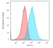 Flow cytometry testing of PFA-fixed human HepG2 cells with gp96 antibody (clone SPM249); Red=isotype control, Blue= gp96 antibody.