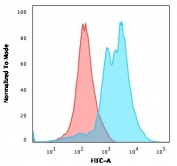 Flow testing of PFA-fixed Jurkat cells with ZAP-70 antibody (clone 2F3.2); Red=isotype control, Blue= ZAP70 antibody.