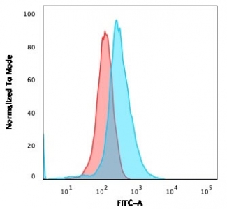 Flow cytometry testing of human Molt-4 cells with CD1a antibody (clone 66IIC7); Red=isotype control, Blue= CD1a antibody.~