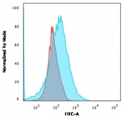 Flow cytometry testing of human MOLT-4 cells with CD2 antibody (clone HuLy-m1); Red=isotype control, Blue= CD2 antibody.