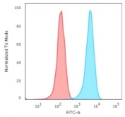 Flow cytometry testing of human Jurkat cells with CD3e antibody (clone CRIS-7); Red=isotype control, Blue= CD3e antibody.