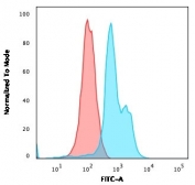 Flow cytometry testing of human MOLT-4 cells with CD6 antibody (clone SPV-L14); Red=isotype control, Blue= CD6 antibody.