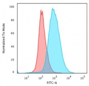 Flow cytometry testing of paraformaldehyde-fixed human Jurkat cells with CD28 antibody (clone 204.12); Red= isotype control, Blue= CD28 antibody.