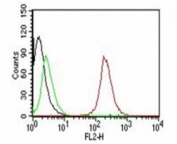 Flow Cytometry testing of MCF-7 cells. Black: cells alone; Green: isotype control; Red: PE-labeled CD63 antibody (SPM524).