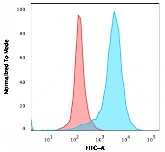 Flow cytometry testing of PFA-fixed human U-87 MG cells with LAMP-3 antibody (clone LAMP3/529); Red=isotype control, Blue= LAMP-3 antibody.~