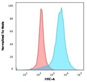 Flow cytometry testing of PFA-fixed human U-87 MG cells with LAMP-3 antibody (clone LAMP3/968); Red=isotype control, Blue= LAMP-3 antibody.