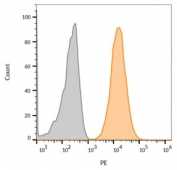 Flow cytometry testing of human MCF7 cells with LAMP-3 antibody (clone LAMP3/968); Gray=unstained, Orange= CF555-labeled LAMP-3 antibody.