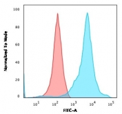 Flow cytometry testing of permeabilized human HEK293 cells with Neurofilament antibody cocktail (clone RT-97 + NR-4); Red=isotype control, Blue= Neurofilament antibody cocktail.