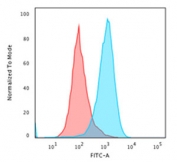 Flow cytometry testing of fixed and permeabilized human Jurkat cells with dsDNA antibody (clone AE-2); Red=isotype control, Blue= dsDNA antibody.