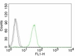 Flow cytometry testing of human Jurkat cells. Black: cells alone; Grey: isotype control; Green: AF488-labeled CD31 antibody (JC/70A).