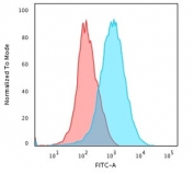 Flow cytometry testing of PFA-fixed human Jurkat cells with CD31 antibody (blue, clone JC/70A) and isotype control (red).