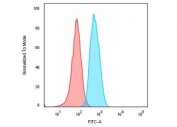 Flow cytometry testing of human Raji cells with CLIP antibody (clone CLIP/813); Red=isotype control, Blue= CLIP antibody.